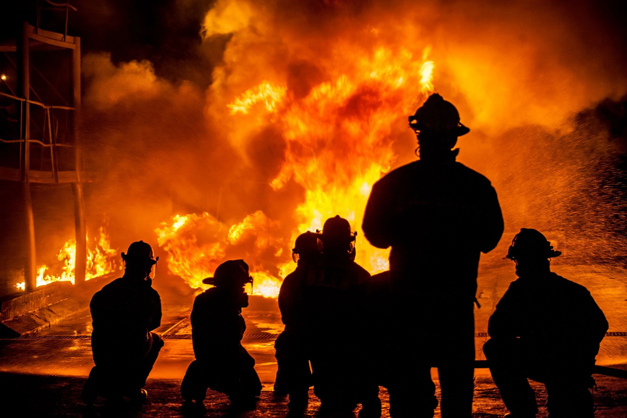 Wildfire smoke isn’t just in the air — it matters for fertility! 107386