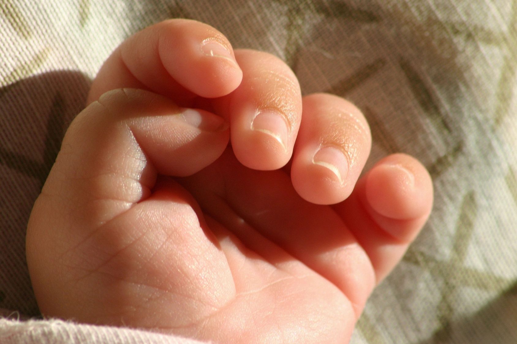 "Joy" and the Revolutionary Birth of IVF 125629