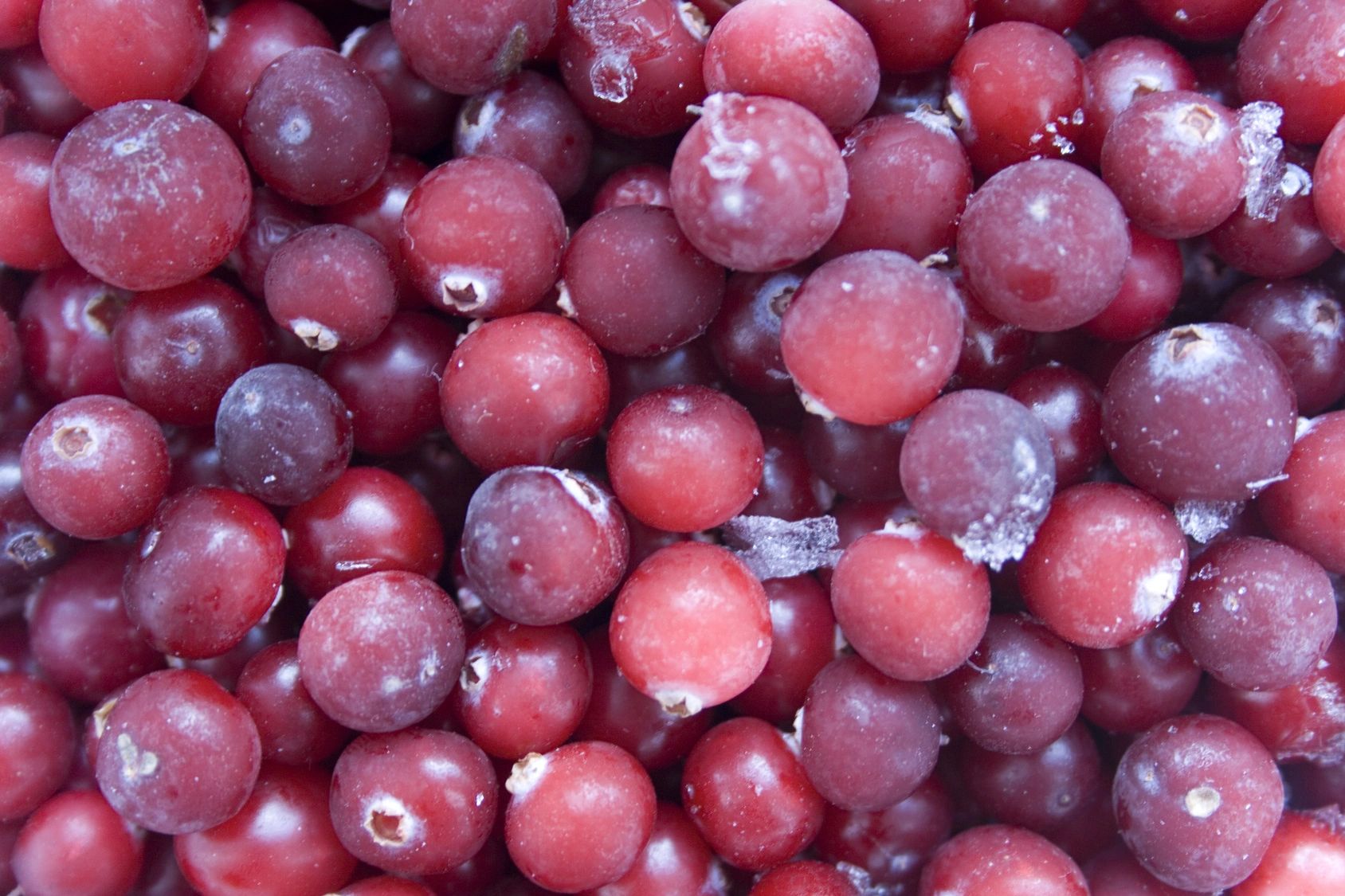 Can Berries Protect Your Fertility from Microplastic Exposure? 127137