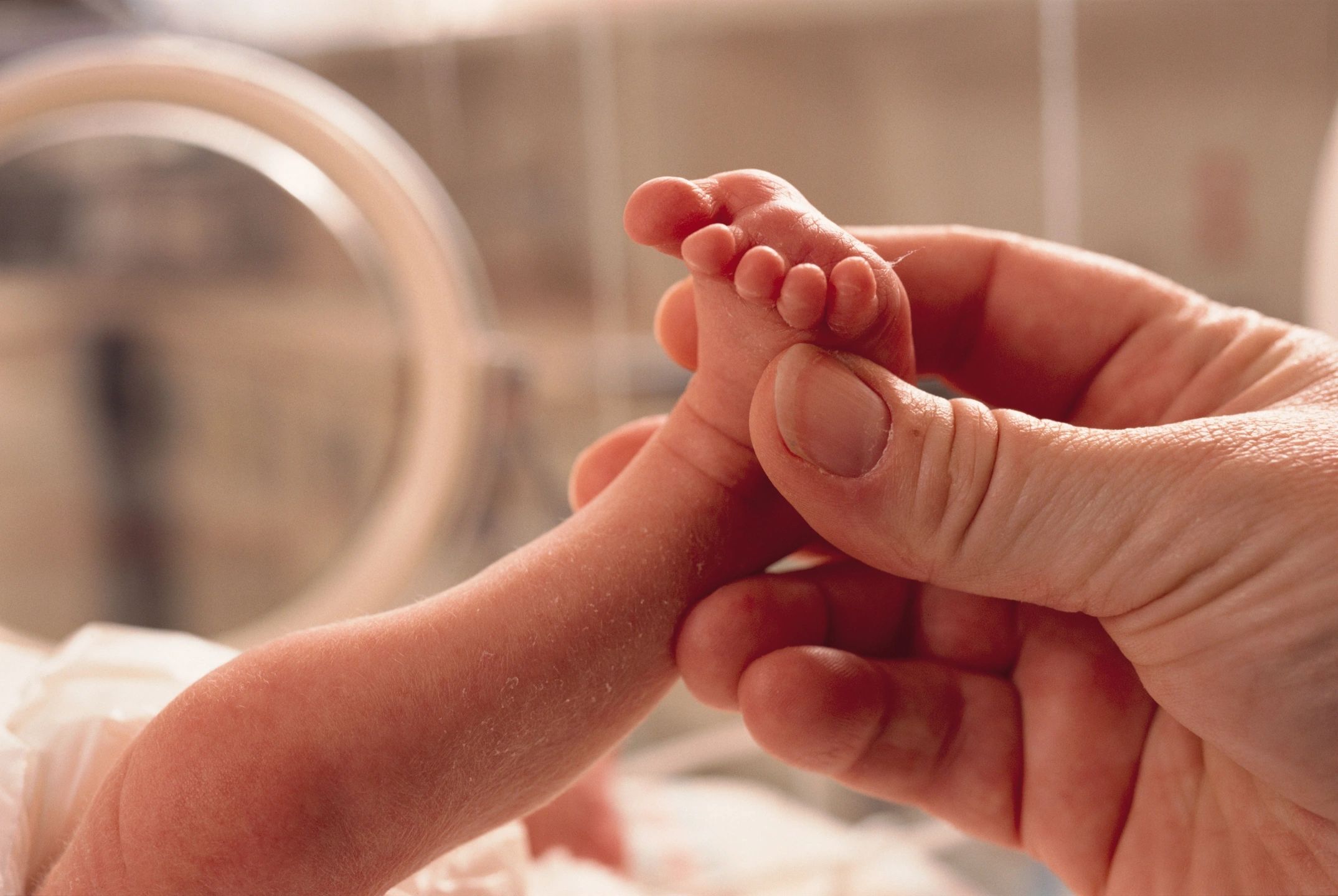 Fertility as a Window Into Longevity 24594