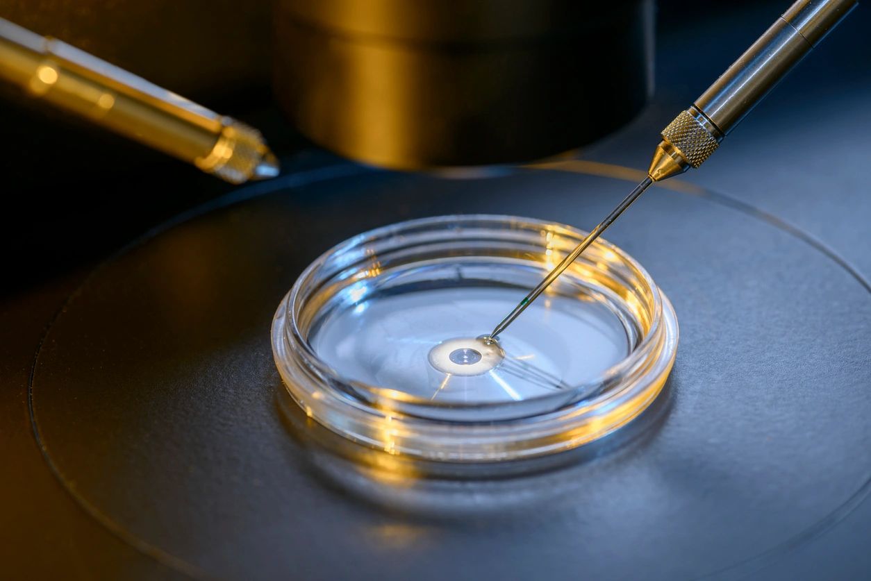 The Modern Woman's Guide to Egg Freezing: A Collective Journey BNK9Zq0