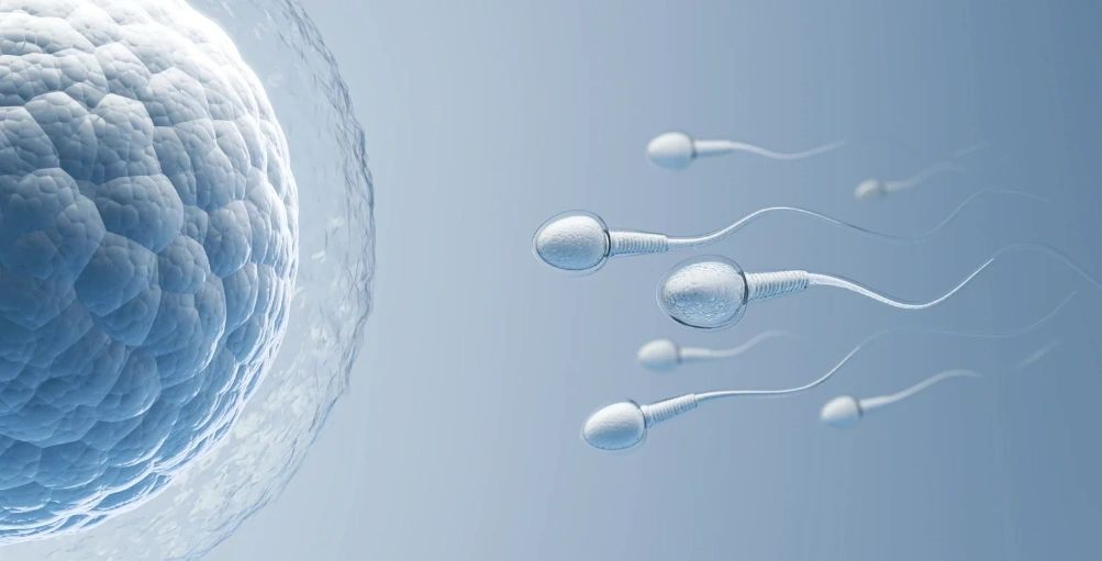 Exploring the Association between Sperm DFI and Preeclampsia Screenshot 202024 07 07 20084036