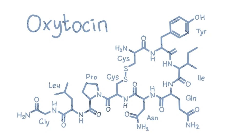 Unveiling a New Role for Oxytocin: Inducing Embryonic Diapause Screenshot 202025 03 09 20110601