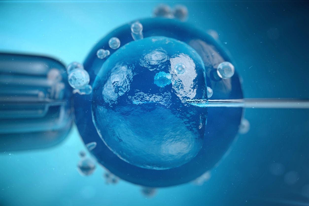 What Is Oxidative Stress and Why Does It Matter for Fertility? yo3djd7
