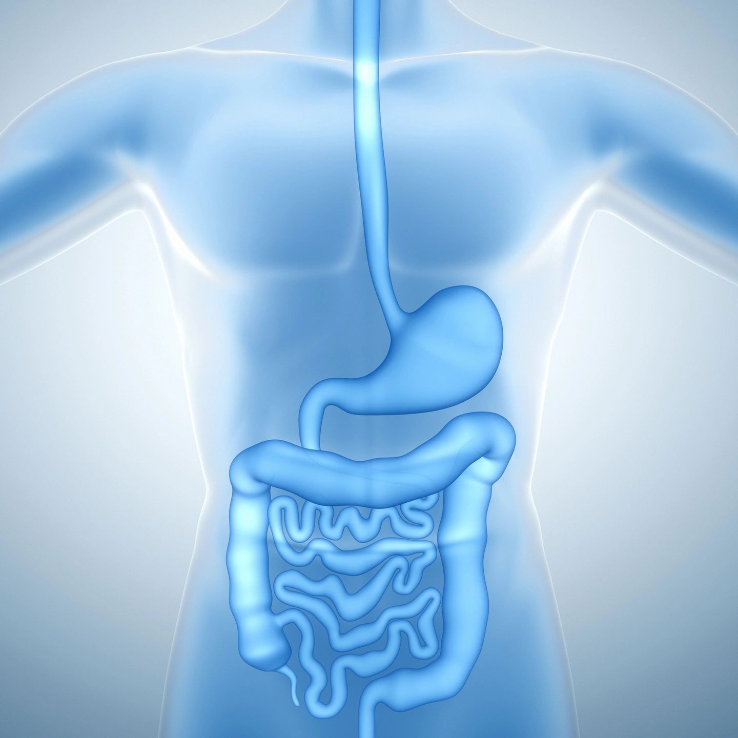 Gut Feelings: How Your Diet Shapes Your Fertility ZnVB419