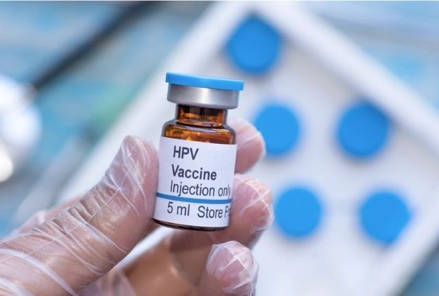 The Impact of HPV on Male Fertility Hpvvaccine